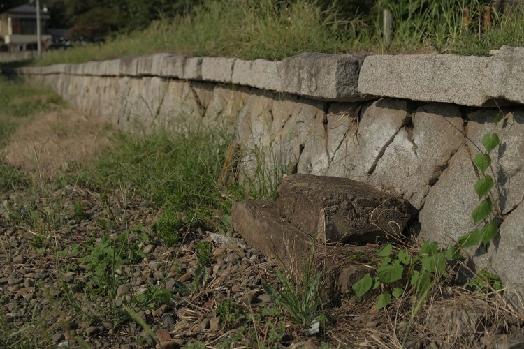 貨物ホームの側面は昇降しやすいように石段が積まれていた。現役時代からあるのだろうか。