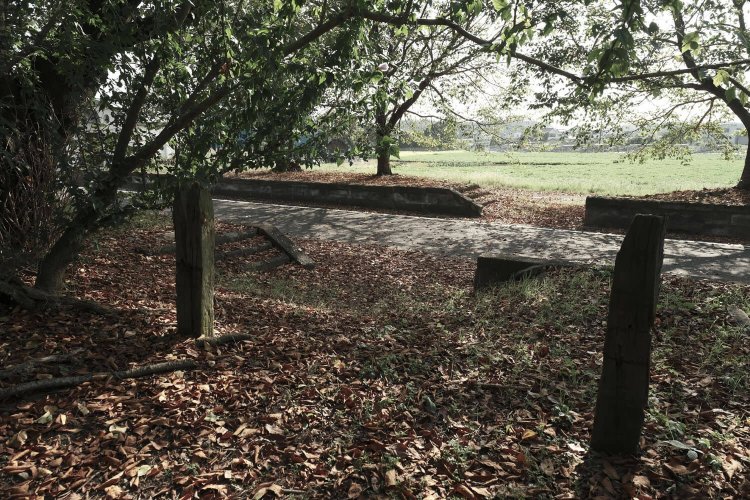 ホーム中程にある欠き取り部分。現役時代末期の古い映像を見てみたらこの形のままで、反対側のホームと行き来できる構内踏切があった。古枕木は柱の代わりだったのだろうか。