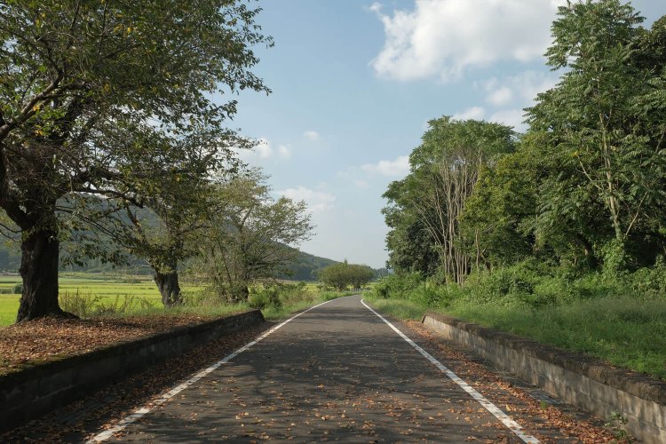 かつてここは駅だった……。桜の木が立派な廃駅。旧筑波鉄道雨引駅 ～廃なるものを求めて 第3回～
