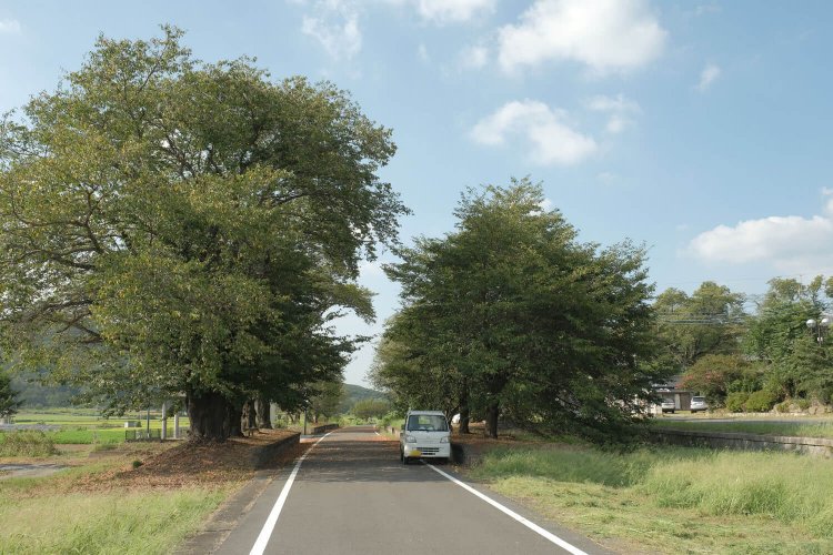 今年の夏(2020年)に訪れたときの姿。ちょうど植木屋が駅跡を整備中で、作業中の軽トラックがホーム横に停まり、良いアクセントになってくれた。ここは自転車道なので、普段は車が進入できない。