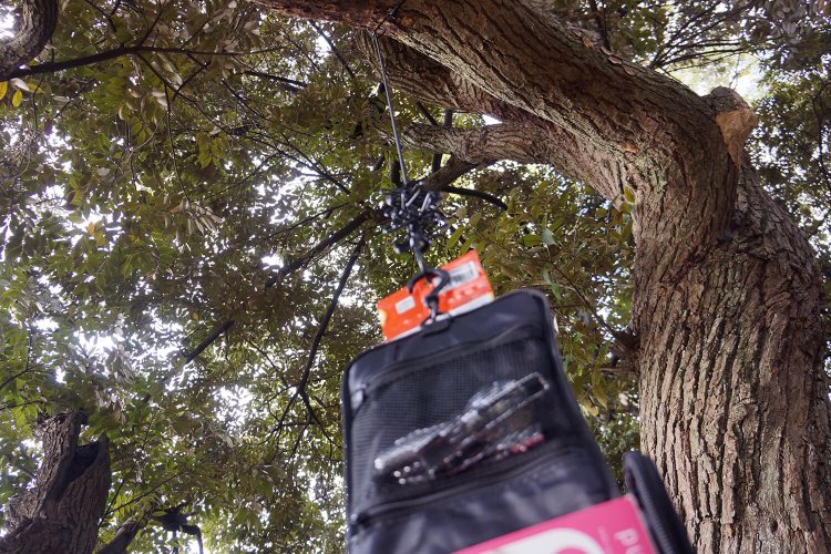 こういうこと。