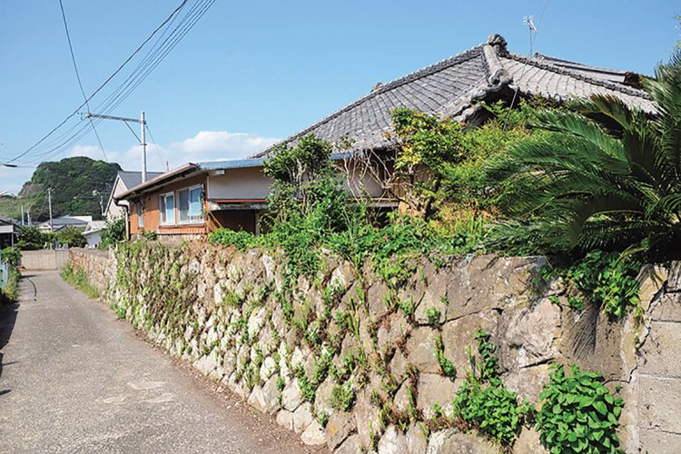 太海の家。沖縄のような風景だ。