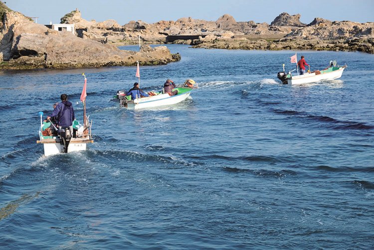 エビ網を仕掛けるのは夕方頃。船は同時に出航する。