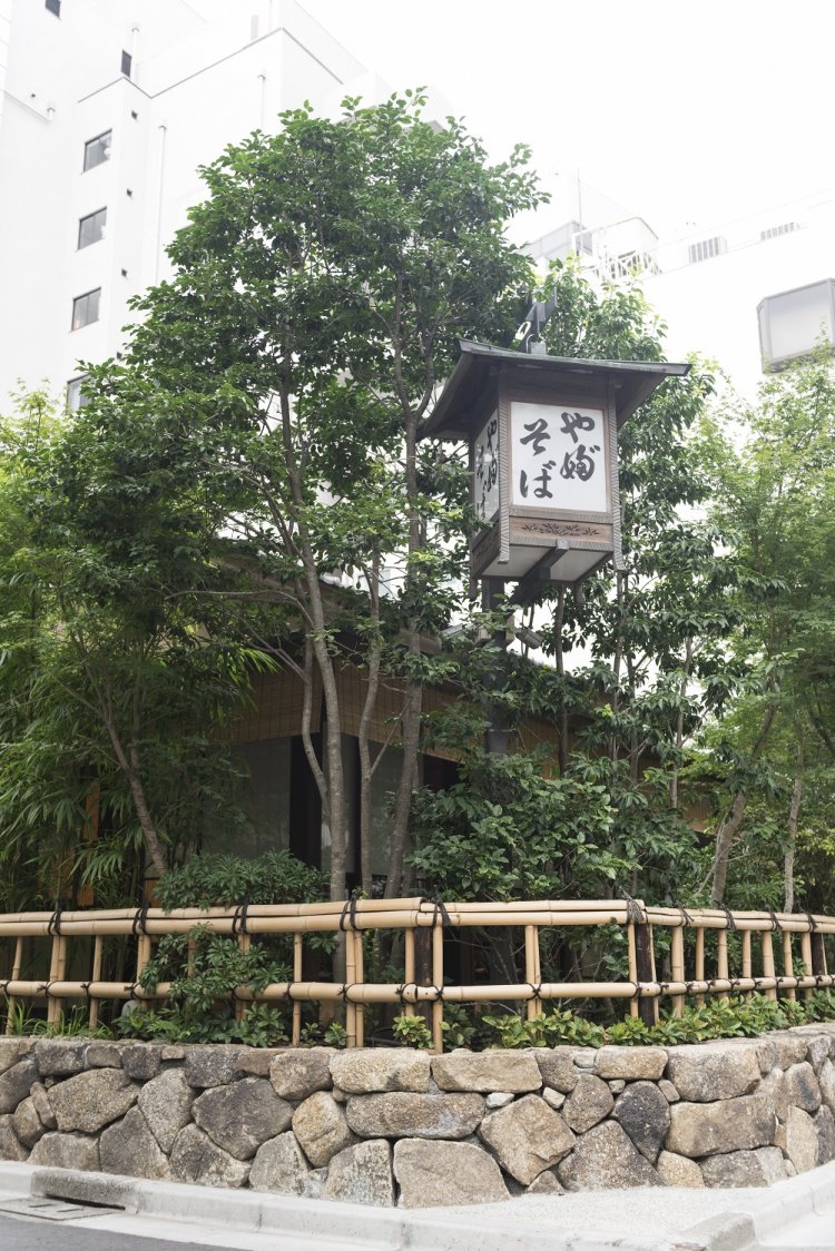 窓越しに植栽が見え、風情ある造り。