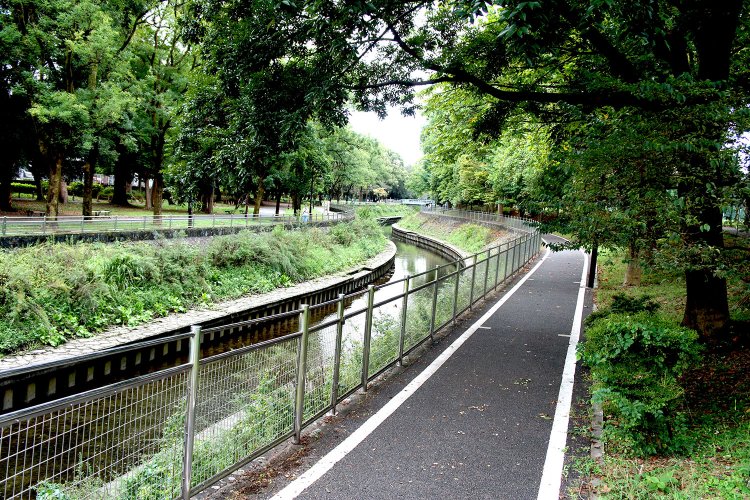春は桜、秋は紅葉が美しい善福寺川緑地。