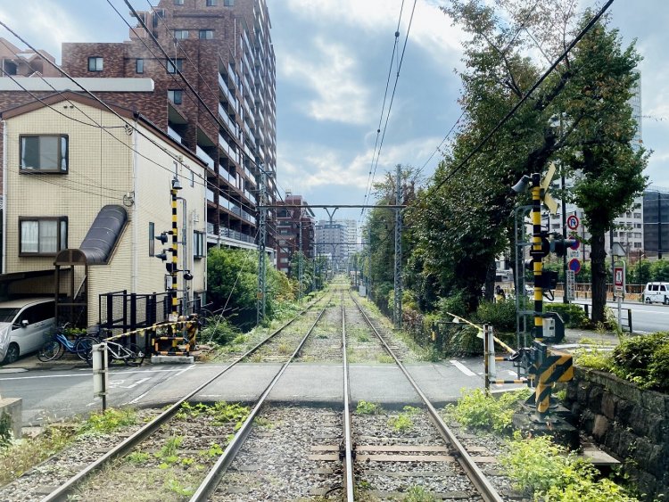 ぐんぐん登ります。