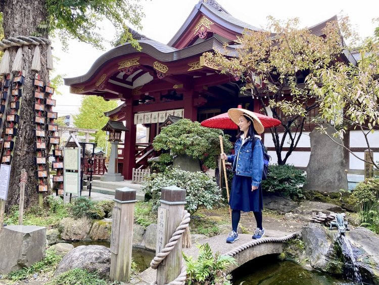 「行く秋や鳥啼き猫は毛づくろい」（町田）。季節の移り変わりの速さにビビる感じを「行く春や鳥啼き魚の目は涙」と詠んだ芭蕉風に表してみました……。