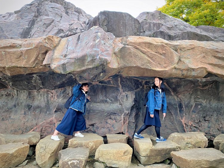 どこかに秘密の洞窟の入り口が……？