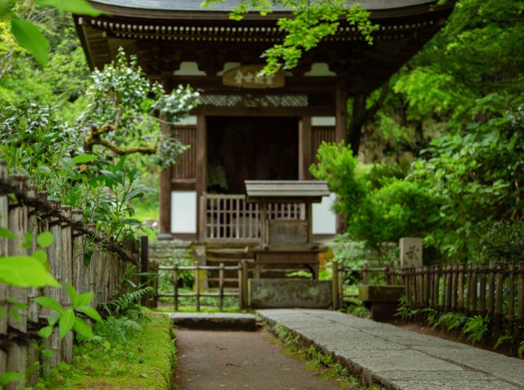 円覚寺の境内にある黄梅院。花壇では季節の草花と競うように苔が生える。