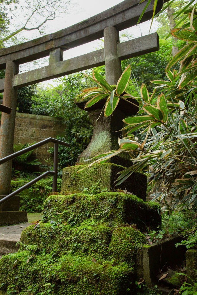 神仏習合の名残でもある鳥居があり、石灯籠が苔スポット。
