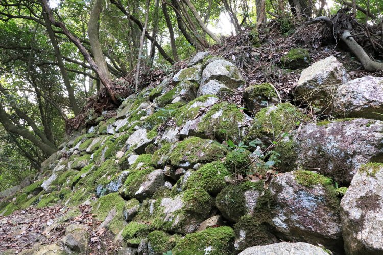 苔むす本丸石垣。