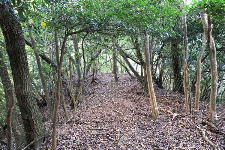 三の丸内。両脇はやはり急斜面。