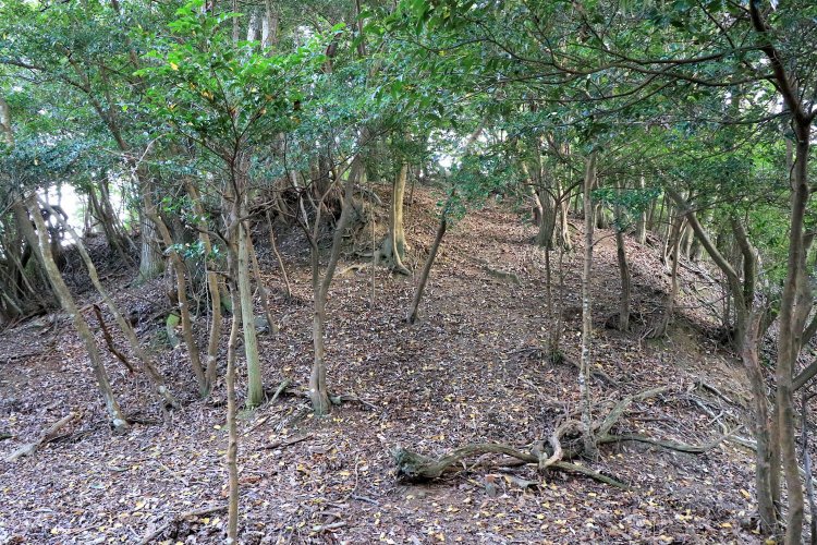 帯曲輪から三の丸を見上げる。