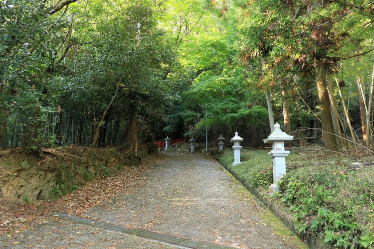 宇佐八幡宮への参道。頭上も両脇も緑に覆われている。