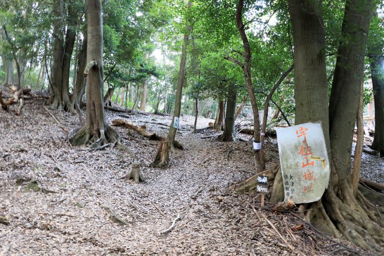 神社脇の山道入口。なんだか不安を煽られる看板……。
