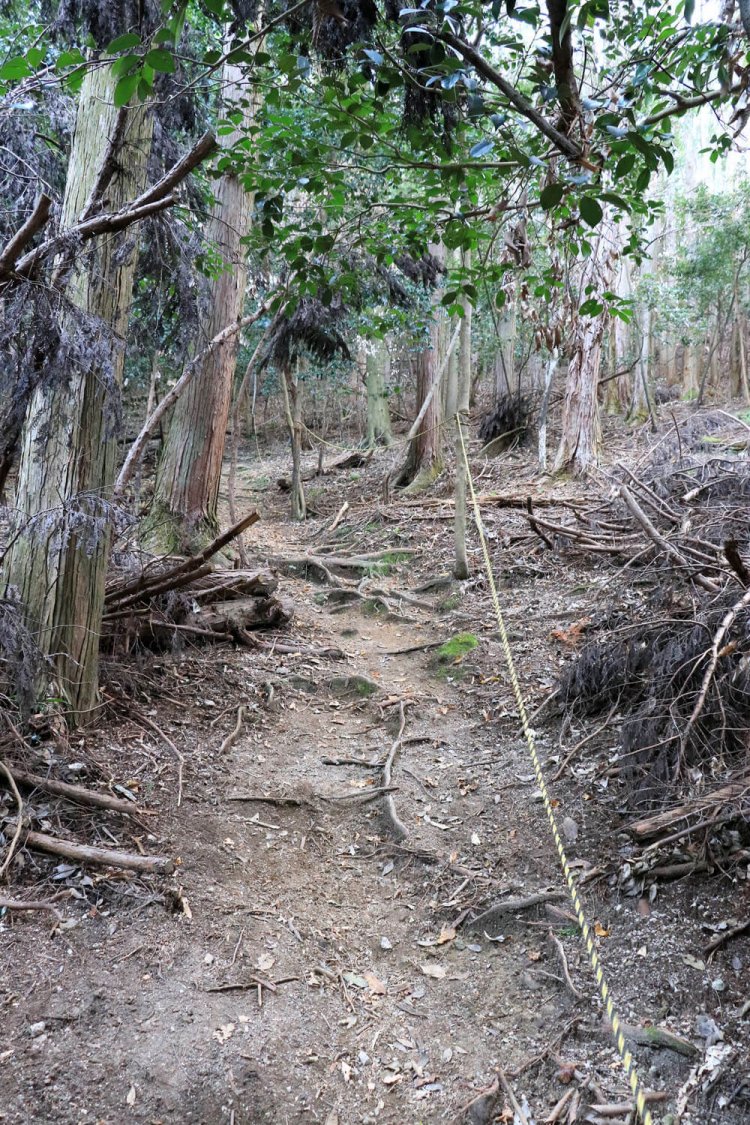 いきなりの虎ロープ。