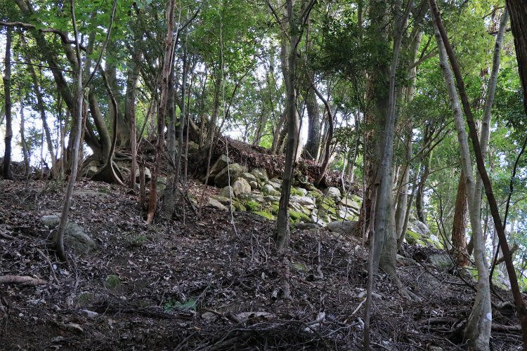 本丸東側面の石垣。