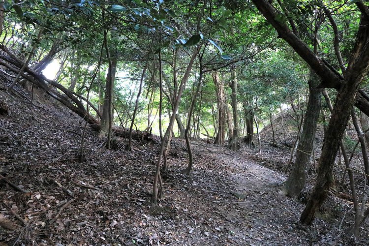 本丸と三の丸に挟まれた大堀切。