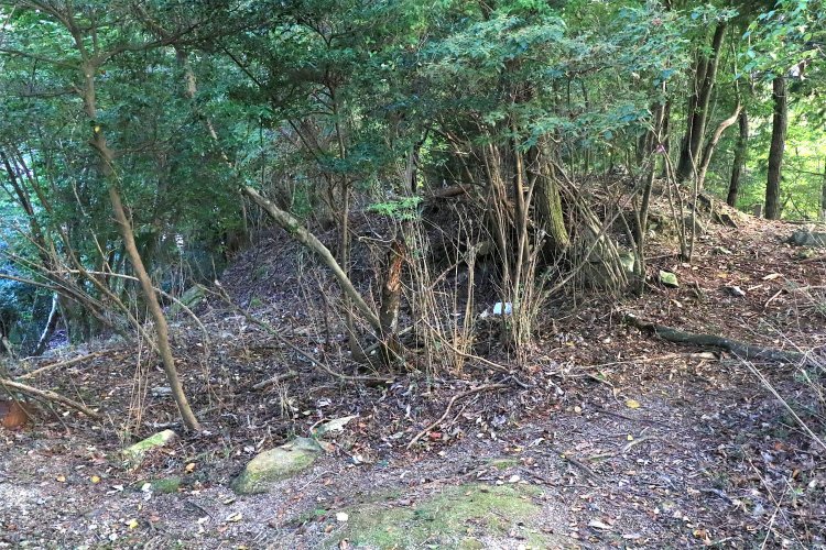 本丸南端の虎口と櫓跡。