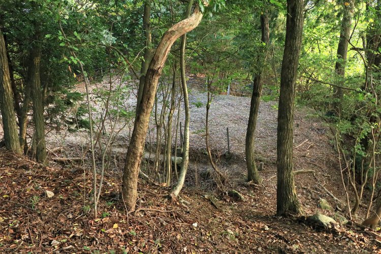 櫓跡の土塁上から二の丸を見下ろす。