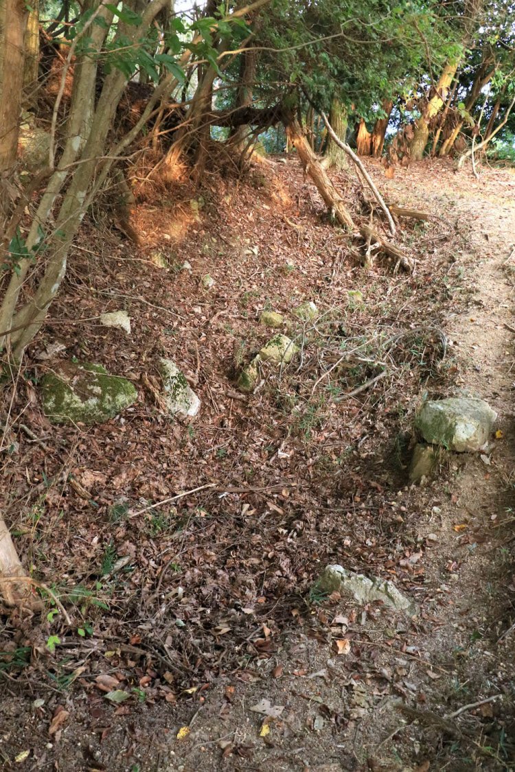 縄張図いわく、これが「貯水」。