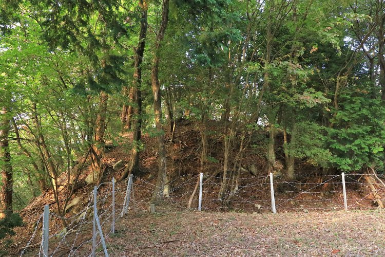 二の丸から見た櫓跡の切岸。落差は3～4メートル。