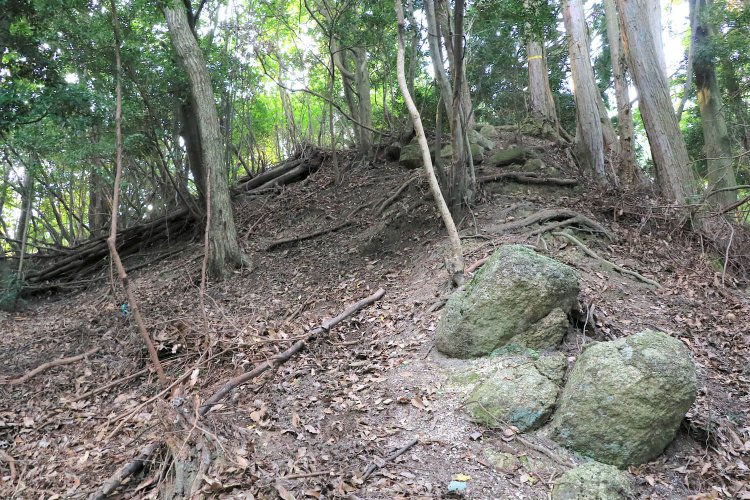はるか頭上に二の丸。