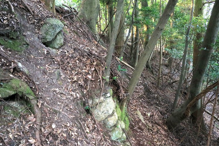 手前が二の丸、奥の盛り上がり部分が本丸。