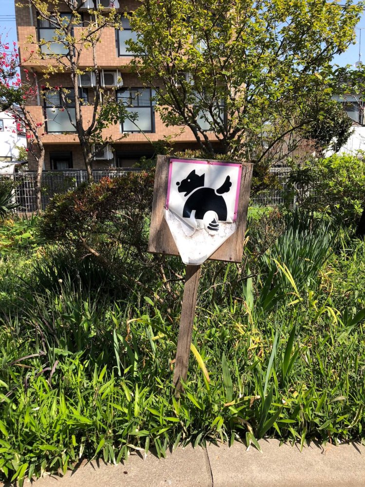 Do it here《ここでどうぞ》