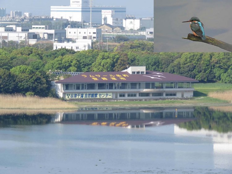 新習志野駅からはじめる谷津・船橋散歩～干潟・バラ園・港町・寺町と見どころ満載さんぽコース