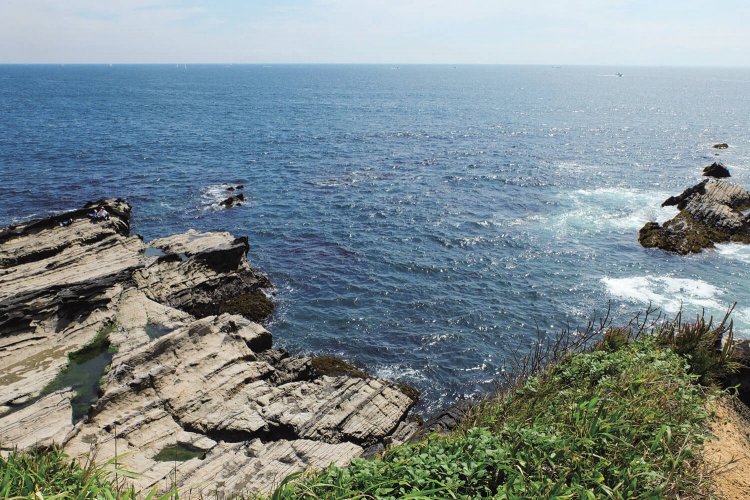 【東京発日帰り旅】神奈川県 横須賀市・三浦市 ～黒崎の鼻から荒崎海岸へ～