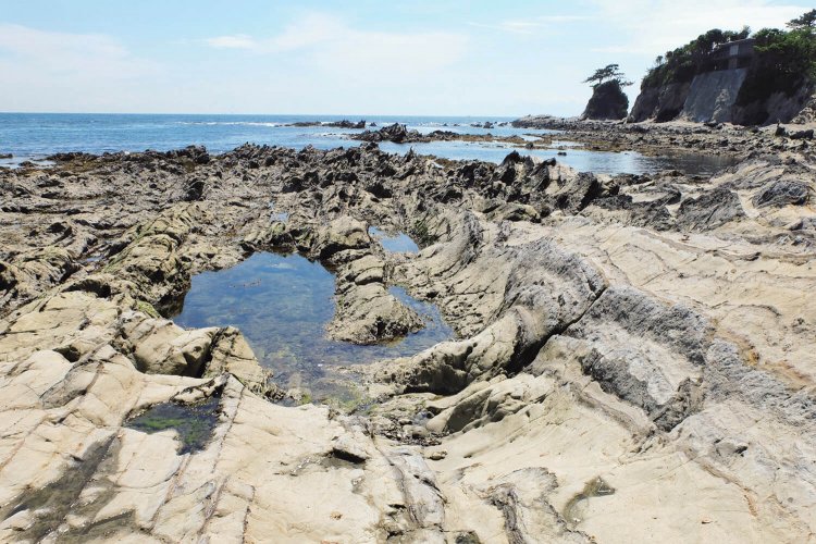 佃嵐崎の突端を過ぎたあたり。ここが荒崎海岸。干潮なので、かなり岩が露出していた。