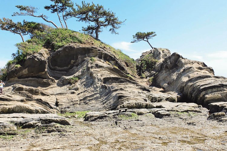 まだ海底だった数千万年前に堆積した黒く固い凝灰岩と、白く柔らかい砂岩の層が浸食によって特異な景観を作っている。写真は荒崎海岸にある弁天島。
