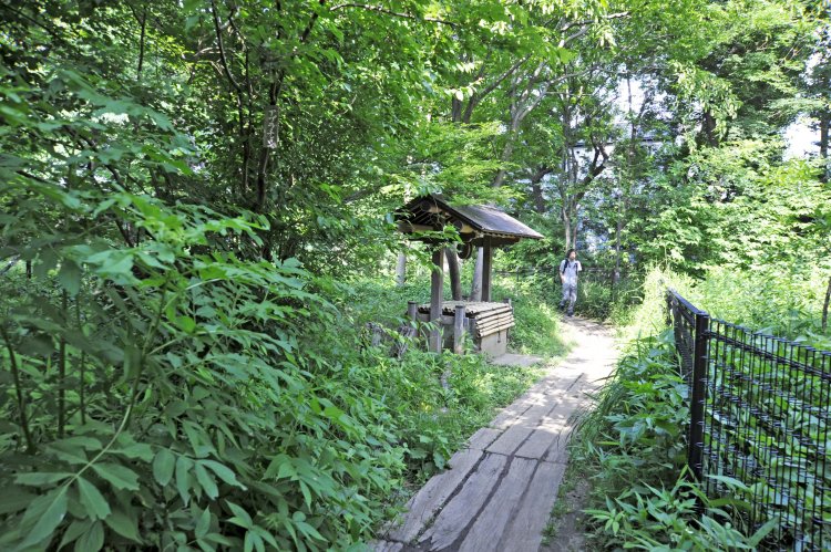 駒場野公園（こまばのこうえん）