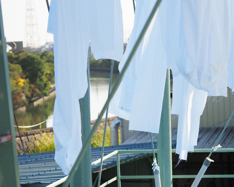 たゆたう反物の向こうに綾瀬川が見えた。