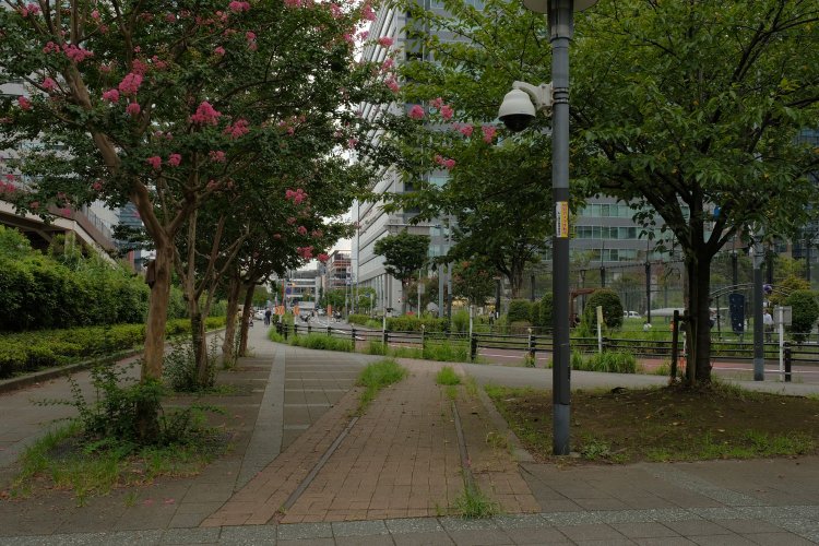 晴海線と深川線の分岐箇所にあるレールのモニュメント。レールは晴海線部分かと思われる。深川線はサルスベリのある部分にあり、直線で奥まで進んでいた。