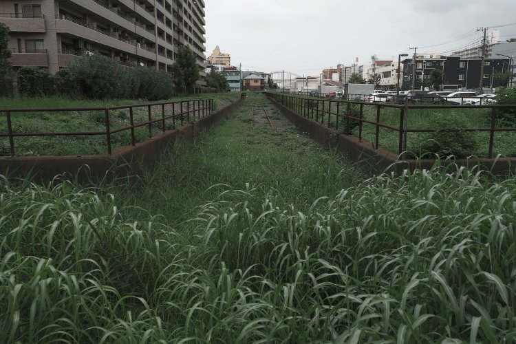 越中島の都有地に残る線路。両サイドのホームらしき部分の上にも線路が敷かれていた。