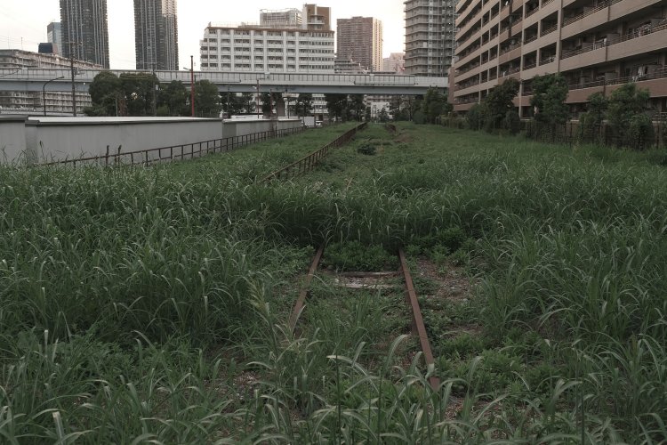 上写真を反対側から見る。ちょうど道路から敷地を見ることができた。