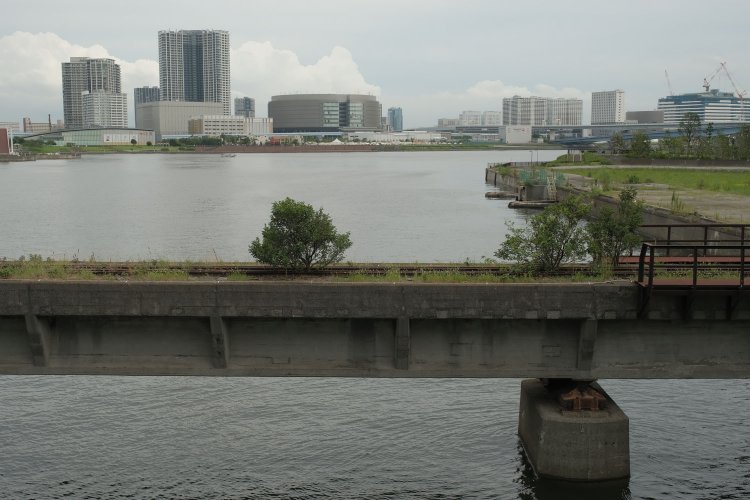 晴海橋梁のコンクリート橋部分。草むしたレールには低木も生えている。