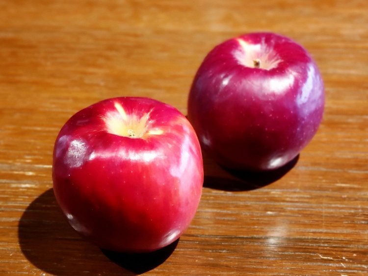 SPROUT cafe さくら坂（スプラウトカフェ） (9)