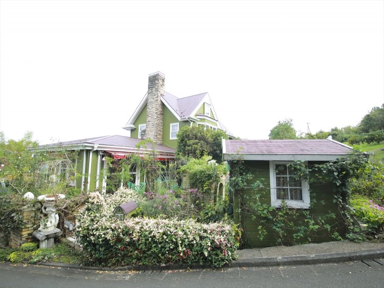 緑にあふれる。春～秋は花束も販売。