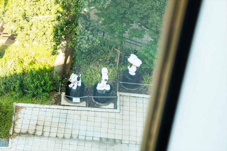 緑の公園が似合うね。