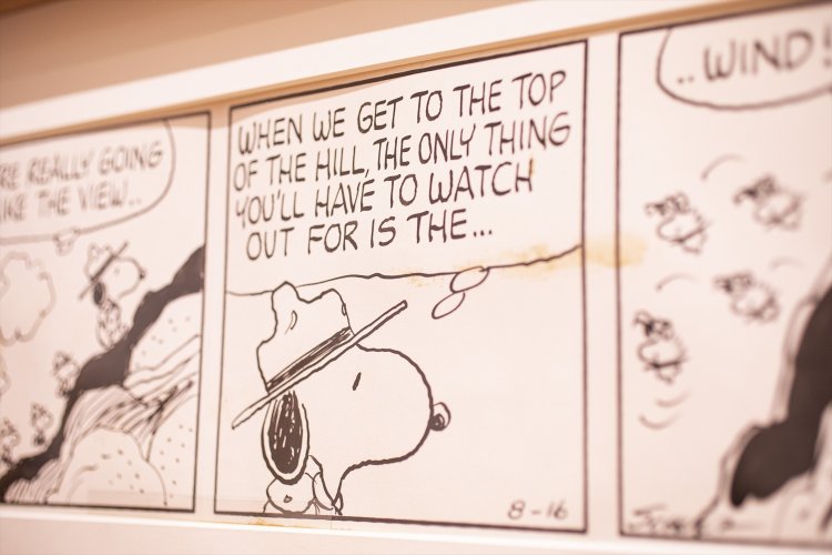 小さなシミまでいとおしい。