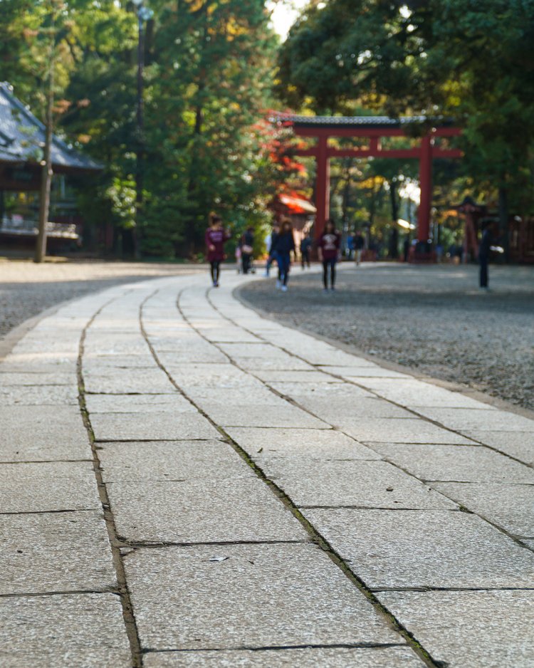 氷川神社