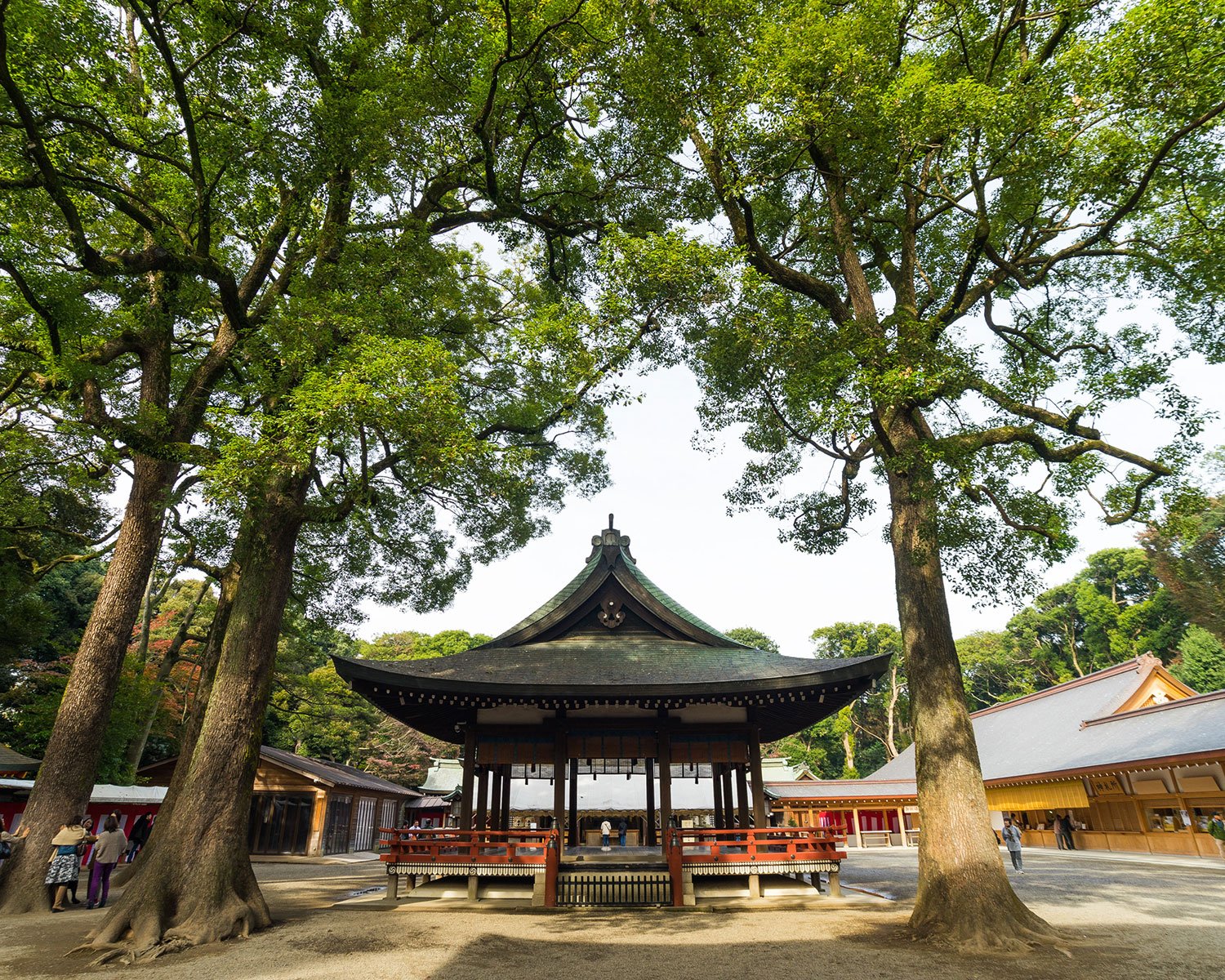 氷川神社