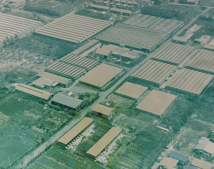 1972年の小川フェニックス周辺の風景。今よりも圧倒的に鶏舎が多いのがわかる。