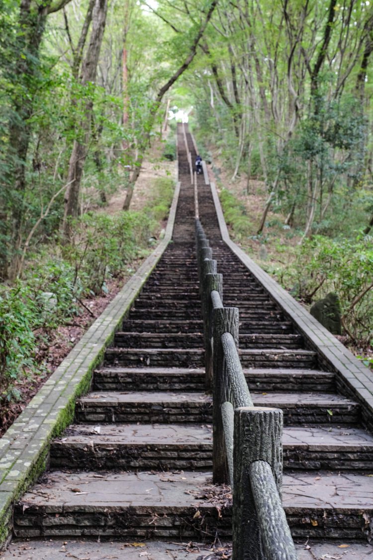311段の階段が続く男坂を登りきれば庚申山山頂にたどり着く。