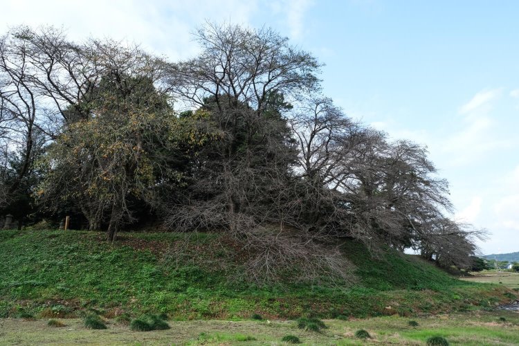 東日本では最大級の横穴式石室を持つ前方後円墳の七輿山古墳（国指定史跡）。