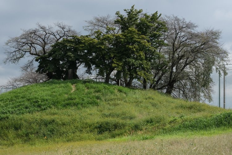 猿田川が生んだ河岸段丘の傾斜を巧みに活かした全長155ｍの前方後円墳・白石稲荷山古墳（国指定史跡）。