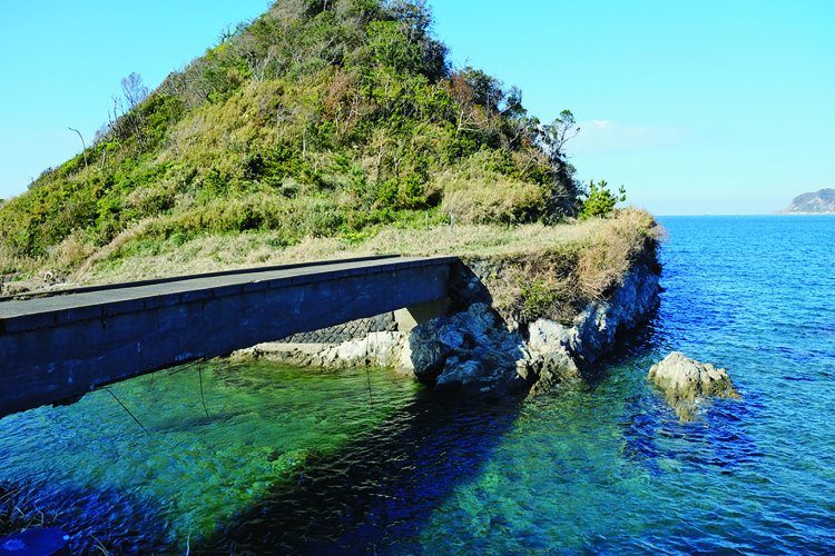 昭和30年代、アコヤガイを養殖して真珠を採っていたという真珠島。